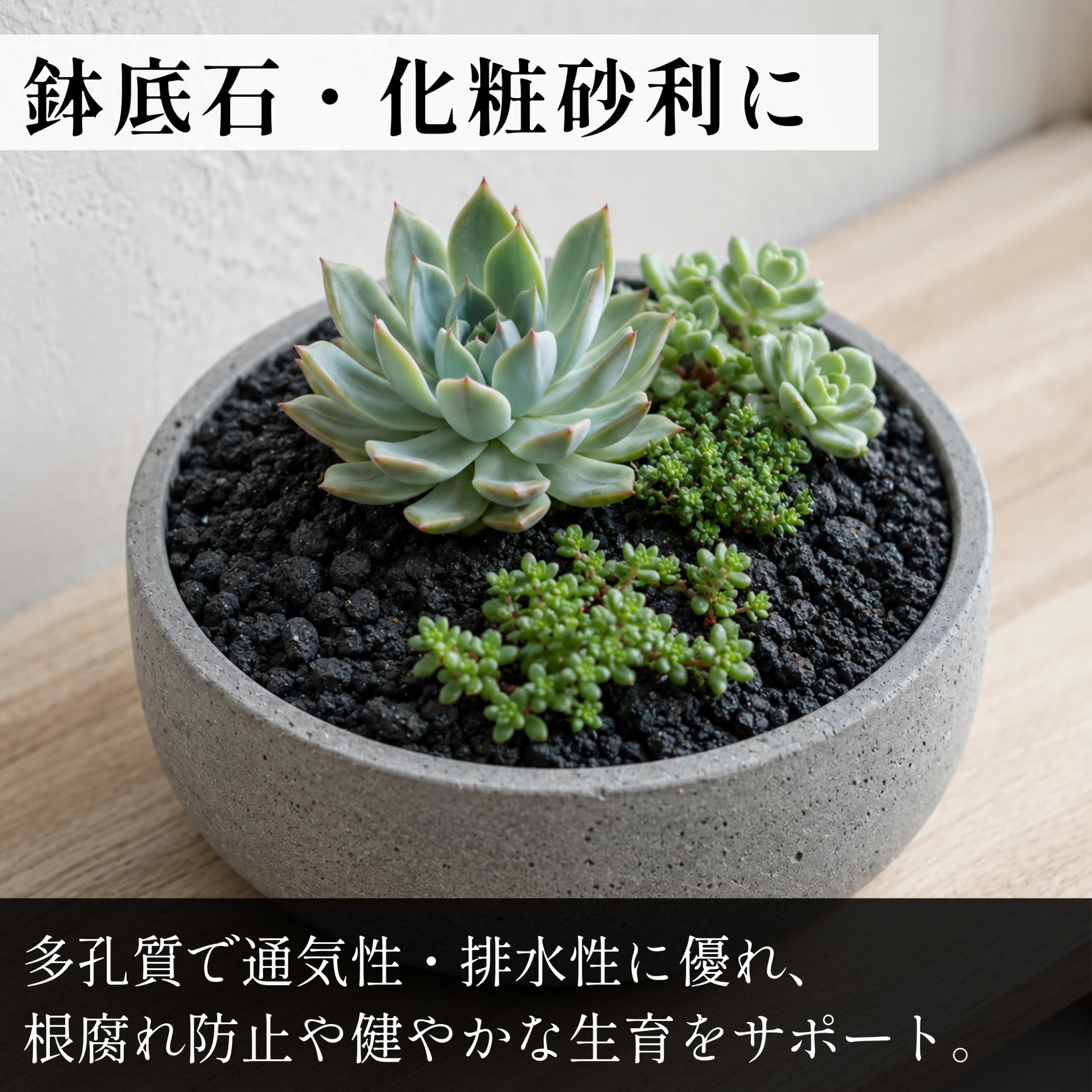 Amazon.co.jp: YOTSUBA＋ 溶岩石 180g（約10-20mm）水槽用 黒 小粒